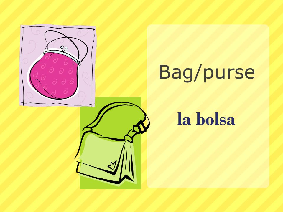 Bag/purse la bolsa