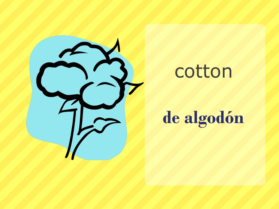 cotton de algodón