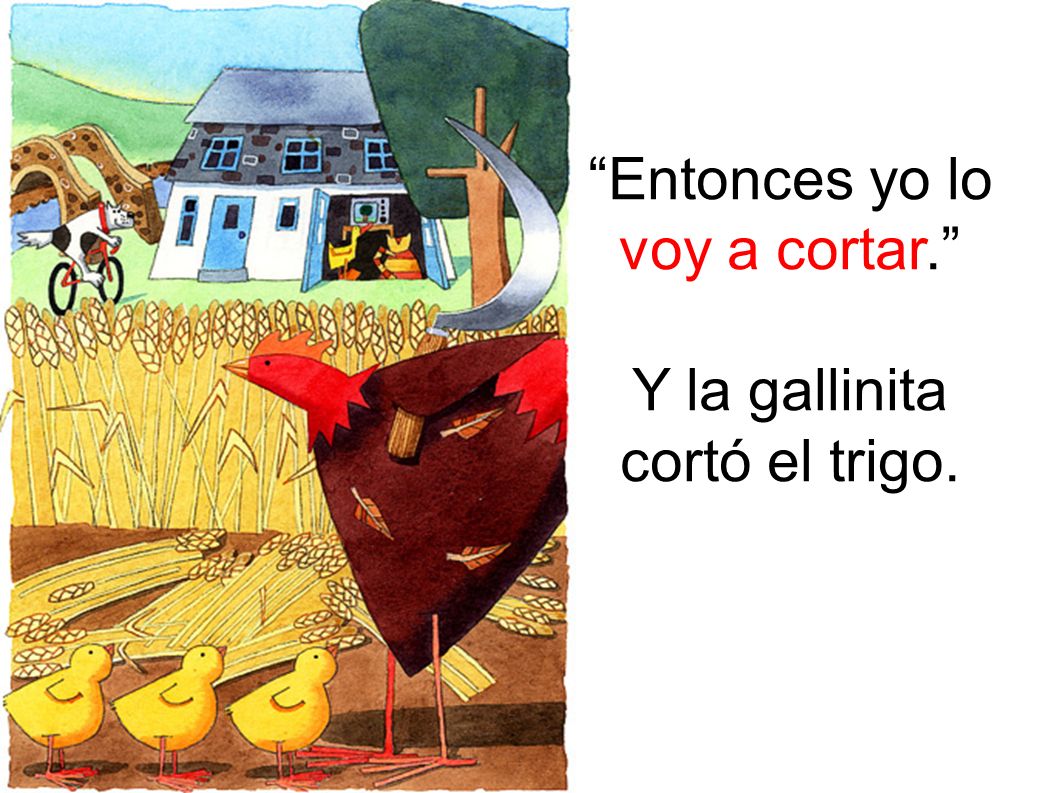Entonces yo lo voy a cortar. Y la gallinita cortó el trigo.