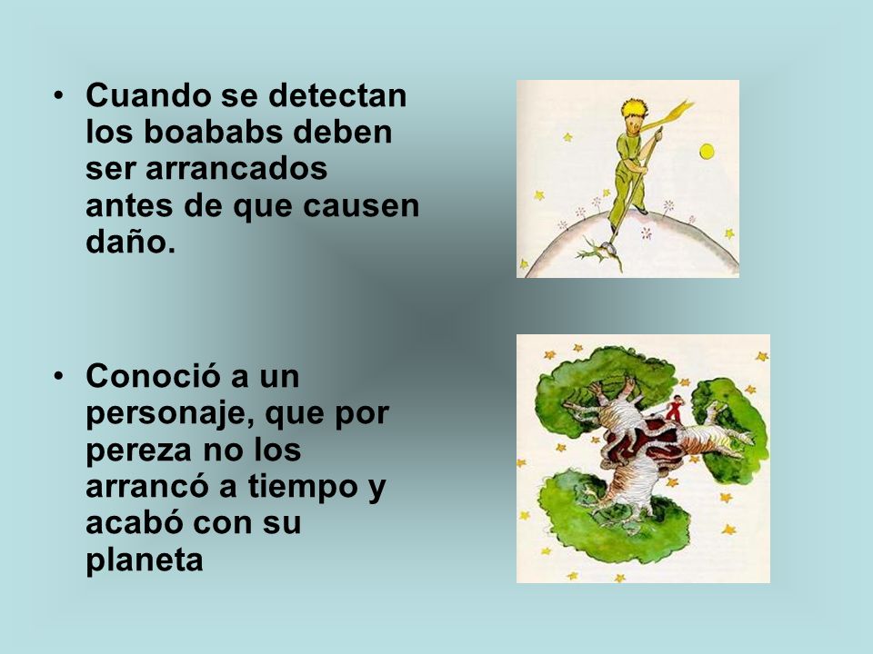 Cuando se detectan los boababs deben ser arrancados antes de que causen daño.