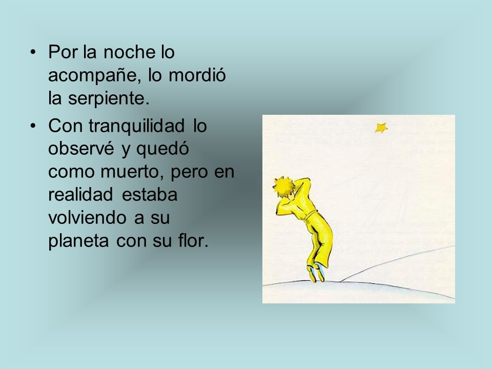 Por la noche lo acompañe, lo mordió la serpiente.