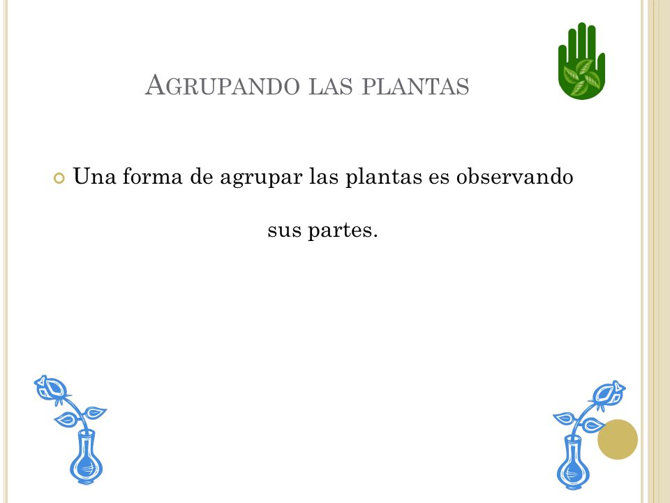 Una forma de agrupar las plantas es observando sus partes.