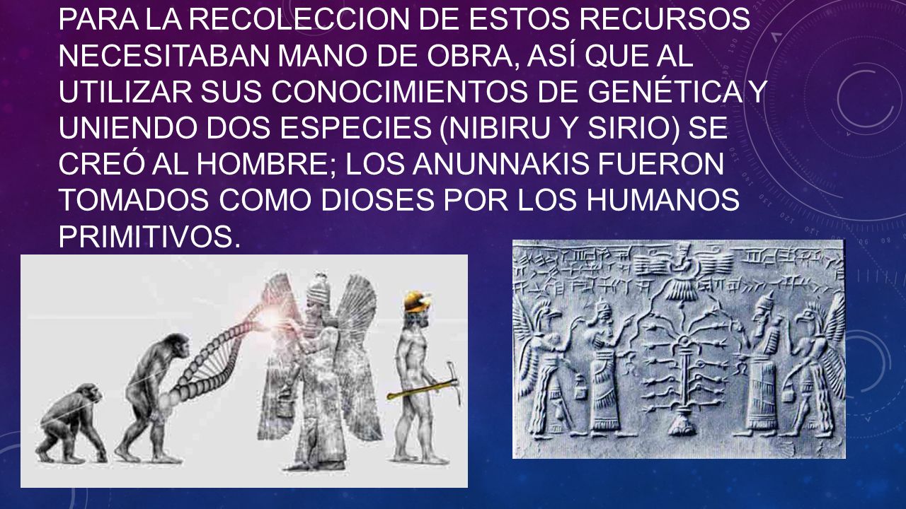 PARA LA RECOLECCION DE ESTOS RECURSOS NECESITABAN MANO DE OBRA, ASÍ QUE AL UTILIZAR SUS CONOCIMIENTOS DE GENÉTICA Y UNIENDO DOS ESPECIES (NIBIRU Y SIRIO) SE CREÓ AL HOMBRE; LOS ANUNNAKIS FUERON TOMADOS COMO DIOSES POR LOS HUMANOS PRIMITIVOS.