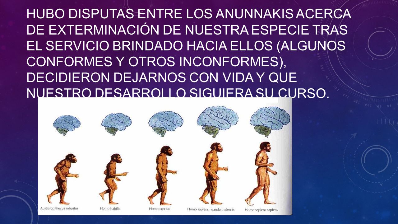 Hubo disputas entre los anunnakis acerca de exterminación de nuestra especie tras el servicio brindado hacia ellos (algunos conformes y otros inconformes), decidieron dejarnos con vida y que nuestro desarrollo siguiera su curso.