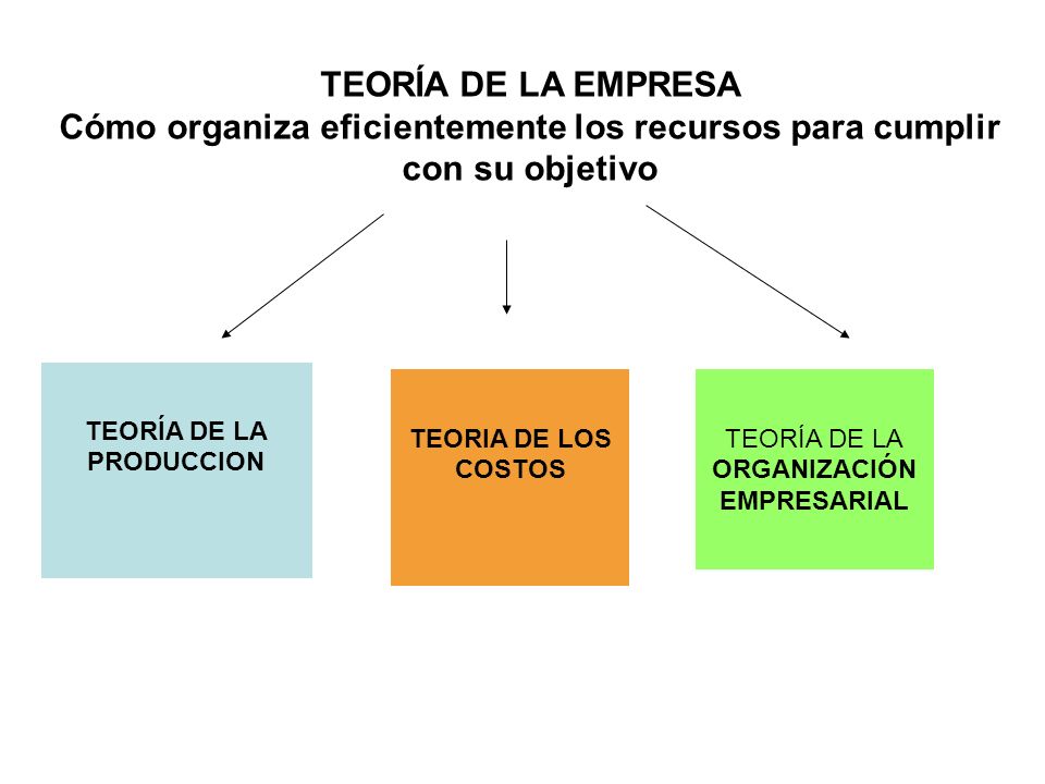 TEORÍA DE LA EMPRESA Cómo organiza eficientemente los recursos para cumplir con su objetivo