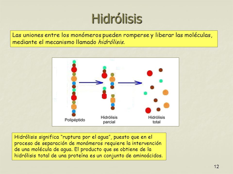 Hidrólisis Las uniones entre los monómeros pueden romperse y liberar las moléculas, mediante el mecanismo llamado hidrólisis.