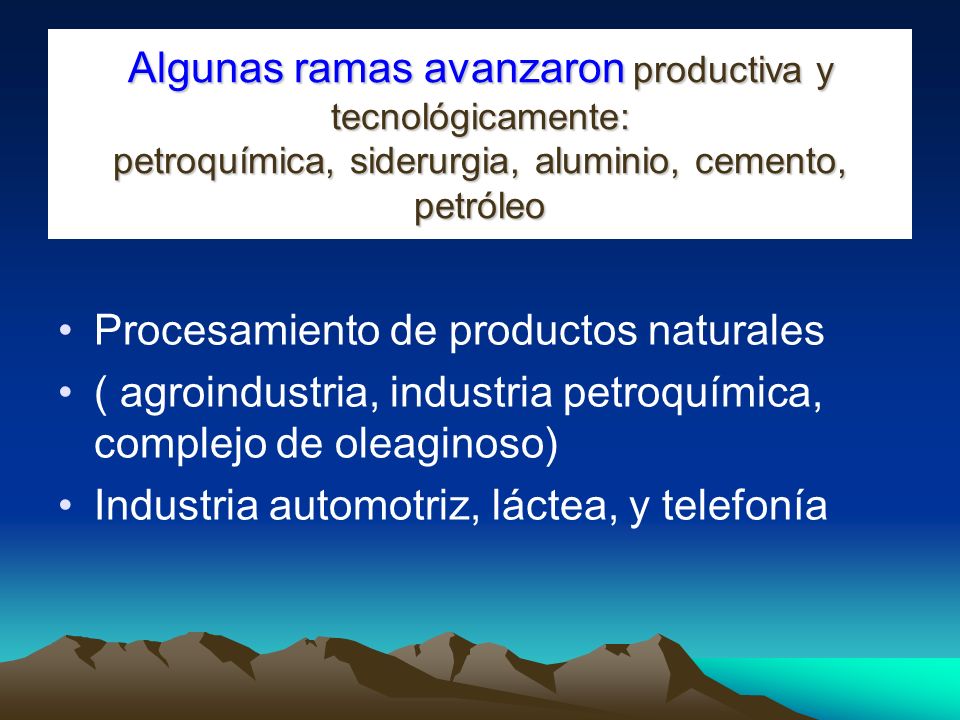 Algunas ramas avanzaron productiva y tecnológicamente: petroquímica, siderurgia, aluminio, cemento, petróleo