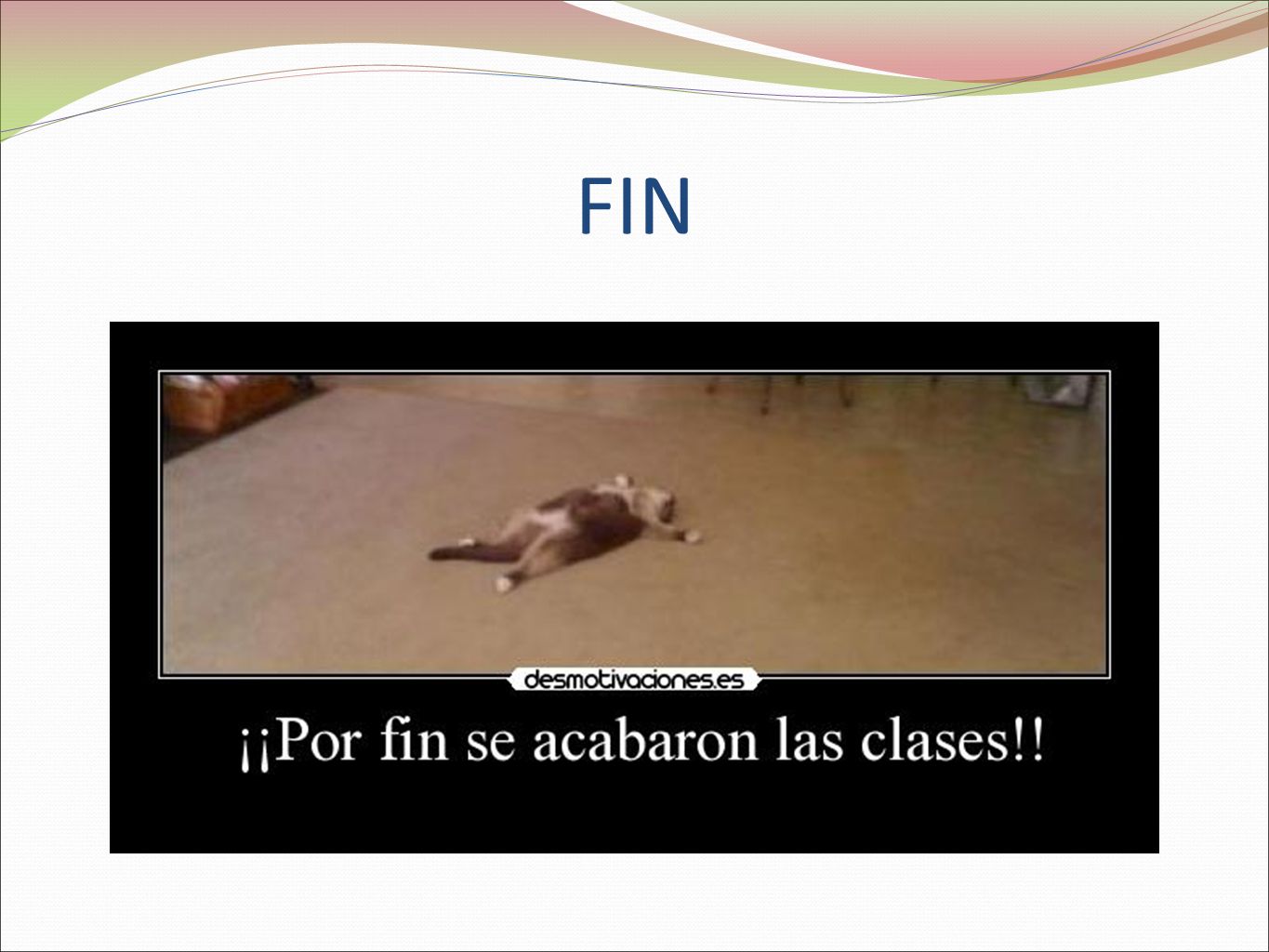 FIN