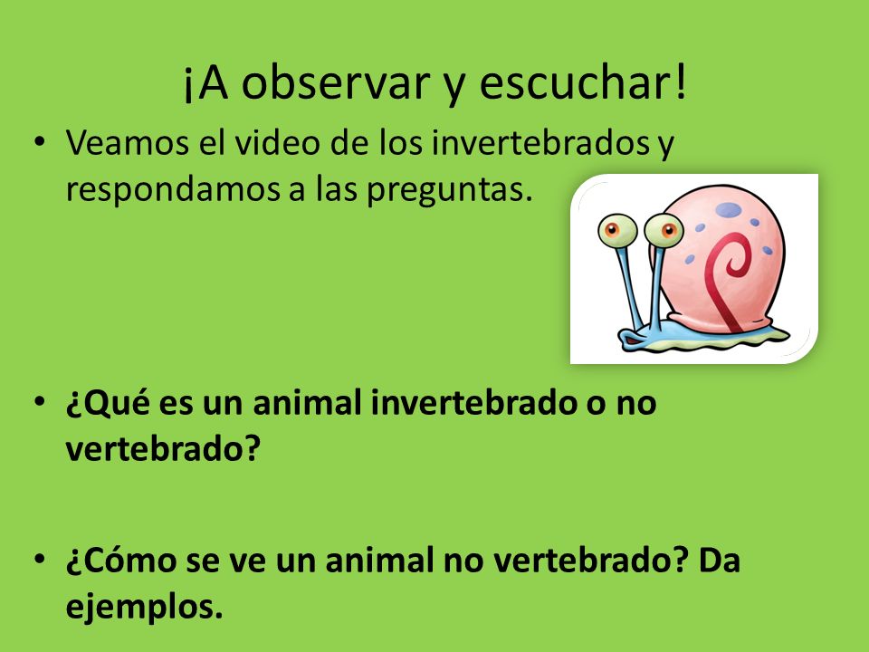 ¡A observar y escuchar! Veamos el video de los invertebrados y respondamos a las preguntas. ¿Qué es un animal invertebrado o no vertebrado