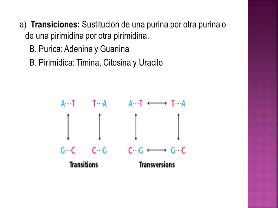a) Transiciones: Sustitución de una purina por otra purina o de una pirimidina por otra pirimidina.