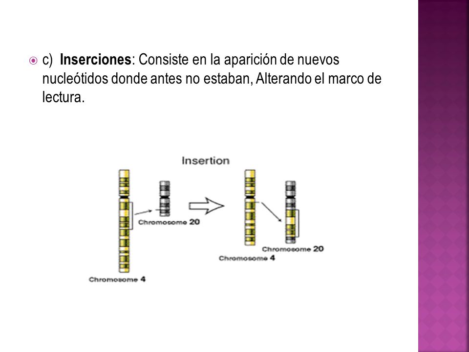 c) Inserciones: Consiste en la aparición de nuevos nucleótidos donde antes no estaban, Alterando el marco de lectura.