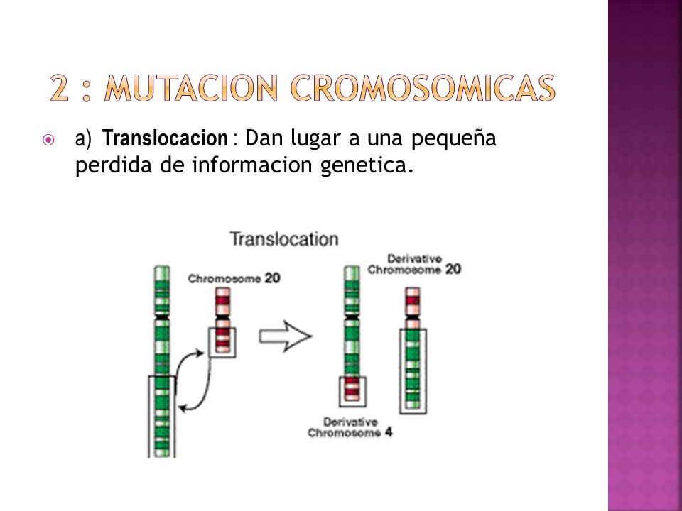 2 : Mutacion cromosomicas