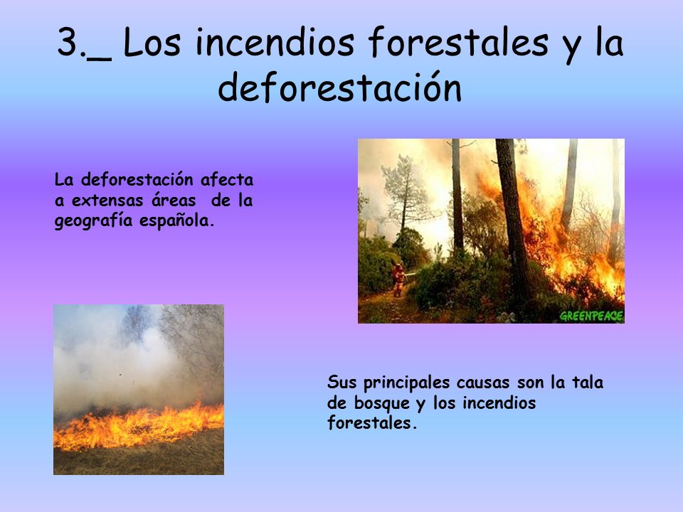 3._ Los incendios forestales y la deforestación