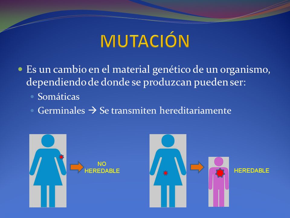 MUTACIÓN Es un cambio en el material genético de un organismo, dependiendo de donde se produzcan pueden ser: