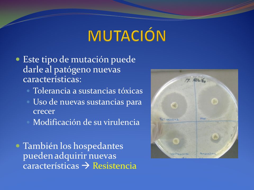 MUTACIÓN Este tipo de mutación puede darle al patógeno nuevas características: Tolerancia a sustancias tóxicas.