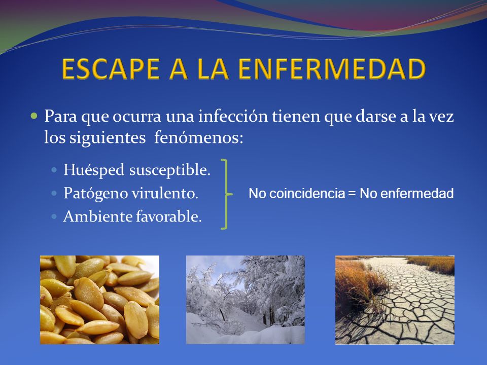 ESCAPE A LA ENFERMEDAD Para que ocurra una infección tienen que darse a la vez los siguientes fenómenos: