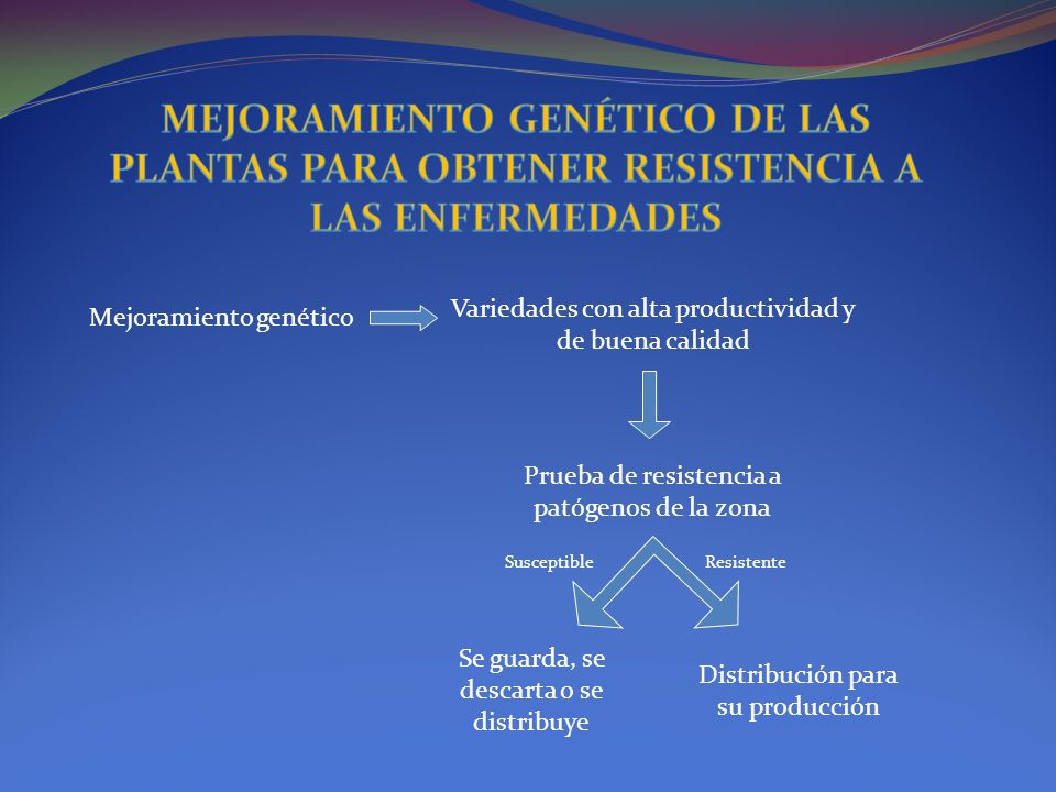 MEJORAMIENTO GENÉTICO DE LAS PLANTAS PARA OBTENER RESISTENCIA A LAS ENFERMEDADES