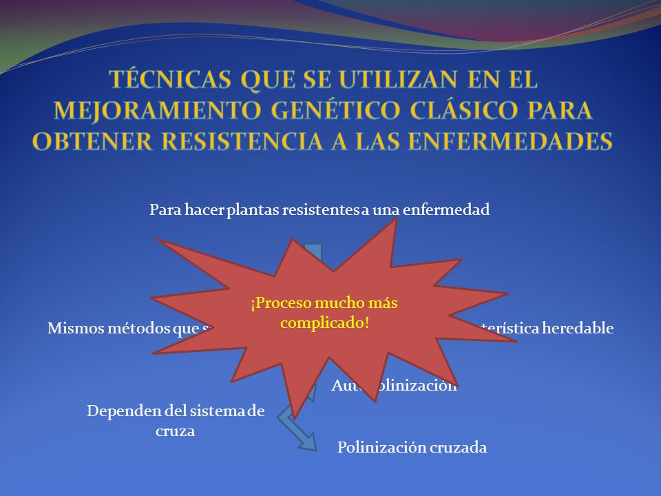 TÉCNICAS QUE SE UTILIZAN EN EL MEJORAMIENTO GENÉTICO CLÁSICO PARA OBTENER RESISTENCIA A LAS ENFERMEDADES