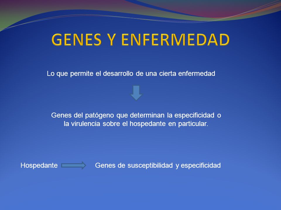 GENES Y ENFERMEDAD Lo que permite el desarrollo de una cierta enfermedad.