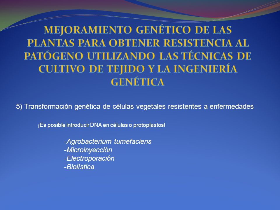 MEJORAMIENTO GENÉTICO DE LAS PLANTAS PARA OBTENER RESISTENCIA AL PATÓGENO UTILIZANDO LAS TÉCNICAS DE CULTIVO DE TEJIDO Y LA INGENIERÍA GENÉTICA