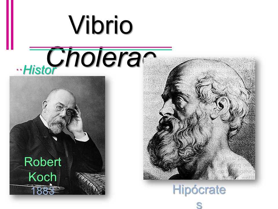 Vibrio Cholerae ··Historia Robert Koch 1883 Hipócrates 390 a.C