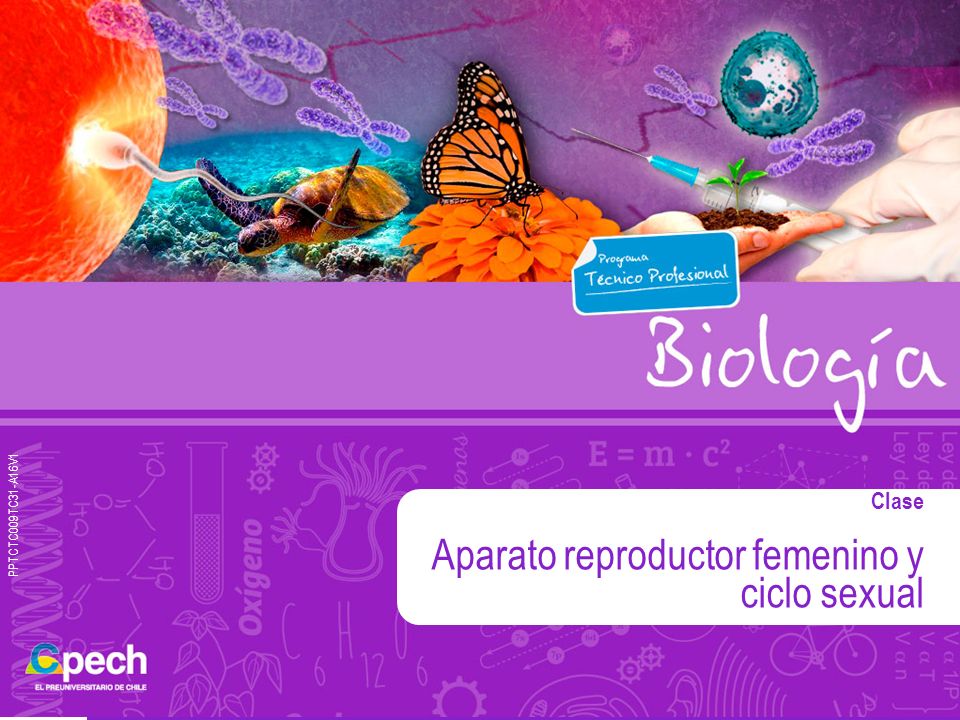 Aparato reproductor femenino y ciclo sexual