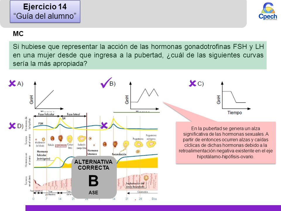      B Ejercicio 14 Guía del alumno MC