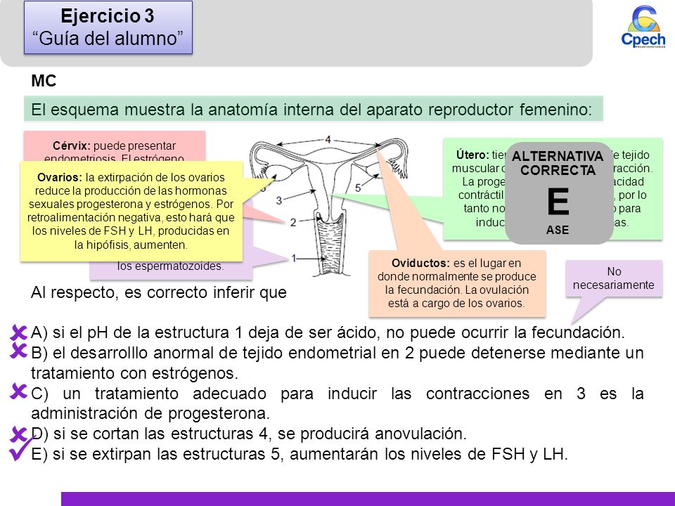  E     Ejercicio 3 Guía del alumno MC