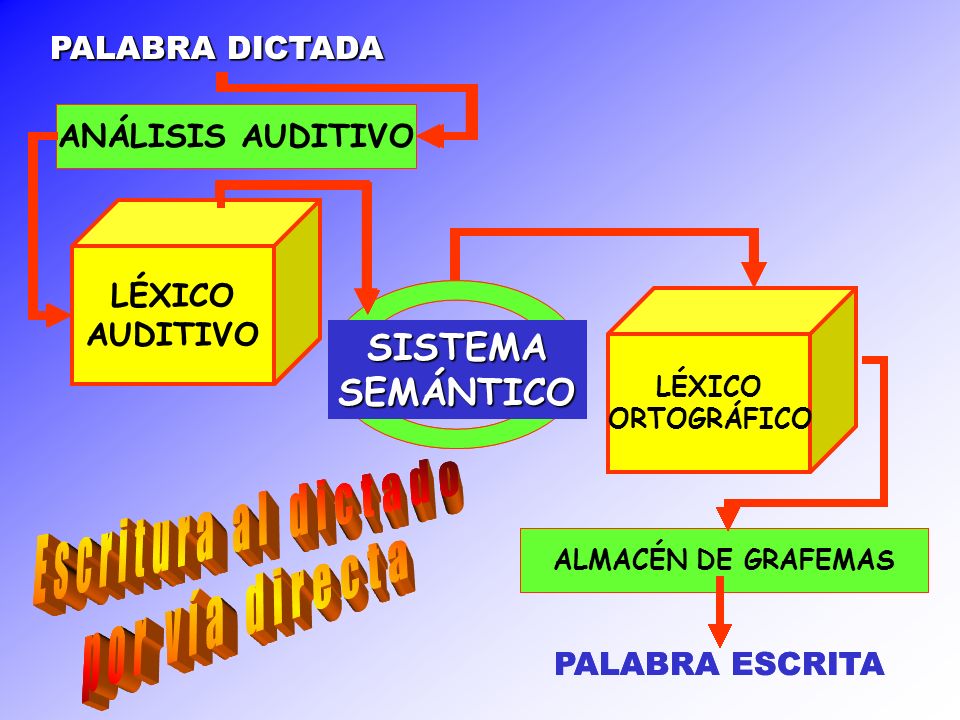 Escritura al dictado por vía directa Escritura al dictado