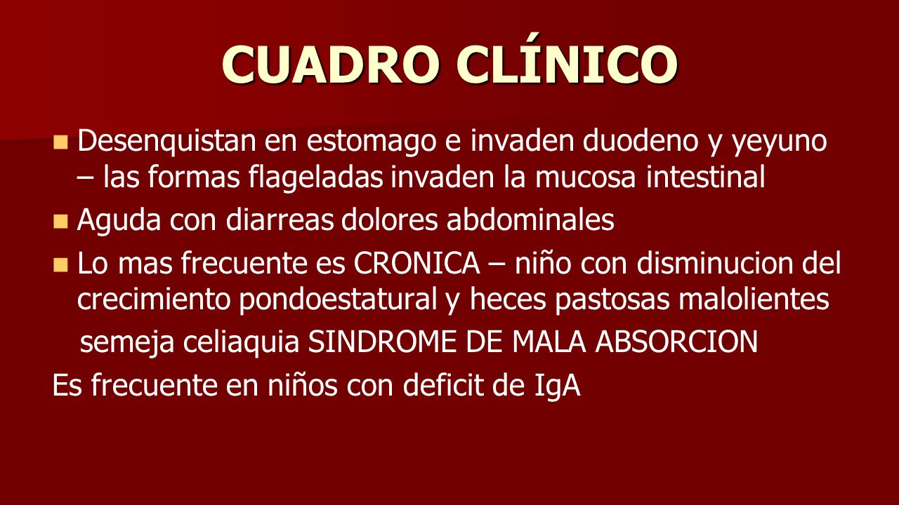 CUADRO CLÍNICO Desenquistan en estomago e invaden duodeno y yeyuno – las formas flageladas invaden la mucosa intestinal.