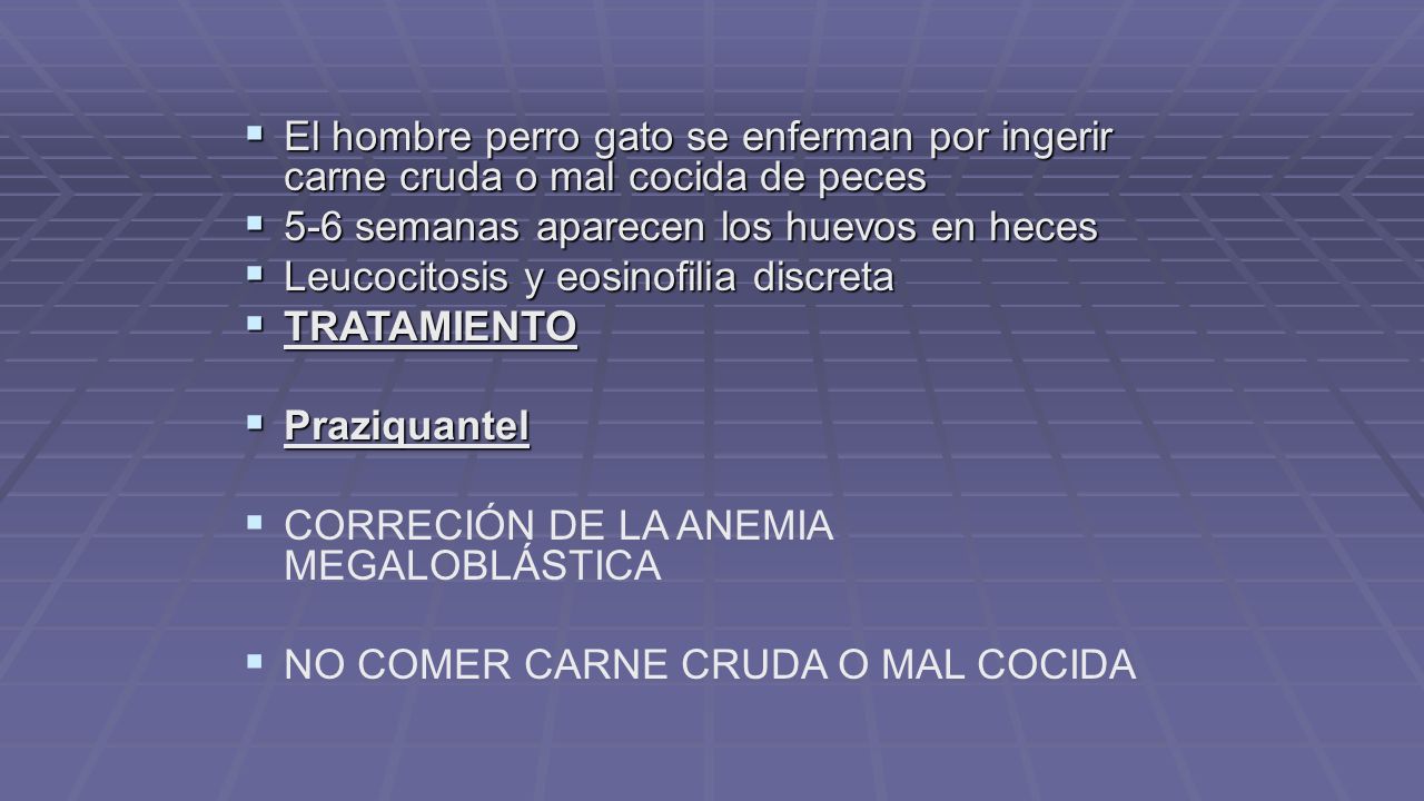 El hombre perro gato se enferman por ingerir carne cruda o mal cocida de peces