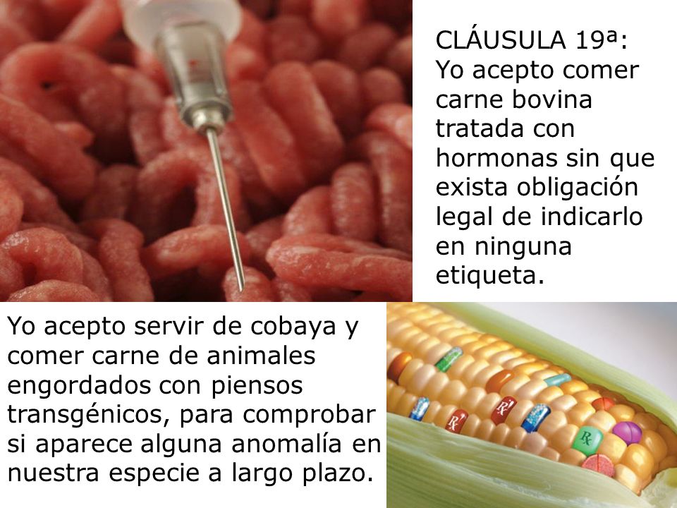 CLÁUSULA 19ª: Yo acepto comer carne bovina tratada con hormonas sin que exista obligación legal de indicarlo en ninguna etiqueta.