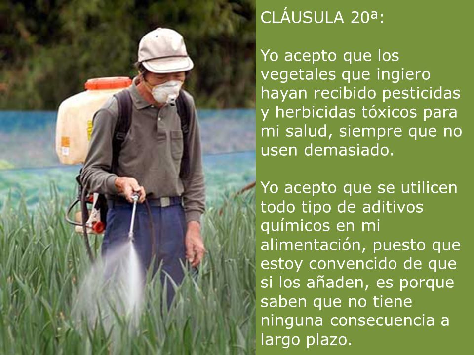 CLÁUSULA 20ª: Yo acepto que los vegetales que ingiero hayan recibido pesticidas y herbicidas tóxicos para mi salud, siempre que no usen demasiado.