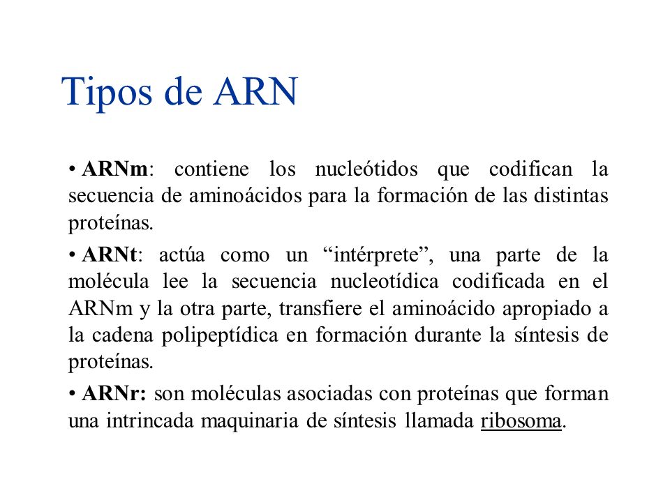 Tipos de ARN ARNm: contiene los nucleótidos que codifican la secuencia de aminoácidos para la formación de las distintas proteínas.