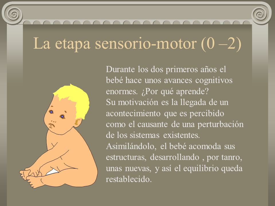 La etapa sensorio-motor (0 –2)