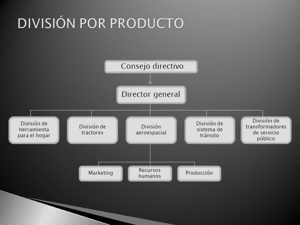DIVISIÓN POR PRODUCTO Consejo directivo Director general