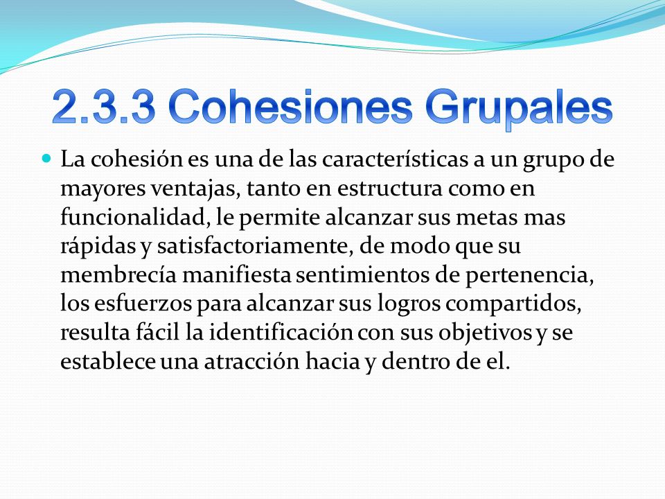 2.3.3 Cohesiones Grupales