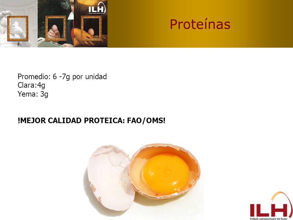 Proteínas Promedio: 6 -7g por unidad Clara:4g Yema: 3g