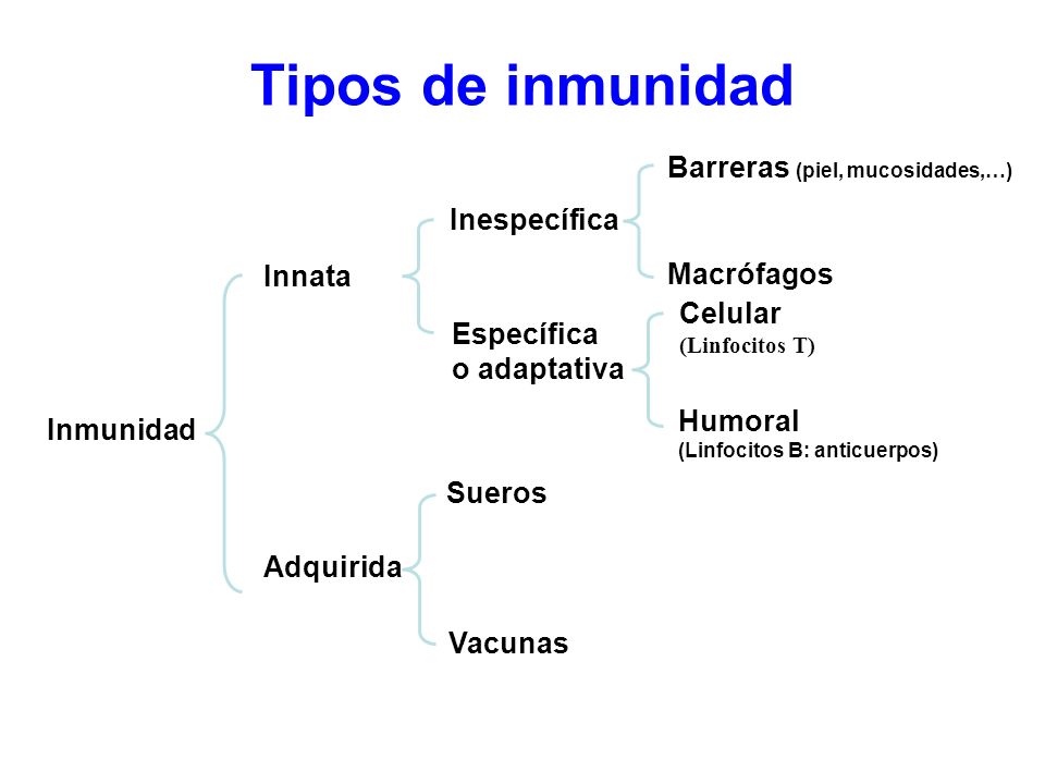 Tipos de inmunidad Barreras (piel, mucosidades,…) Inespecífica Innata