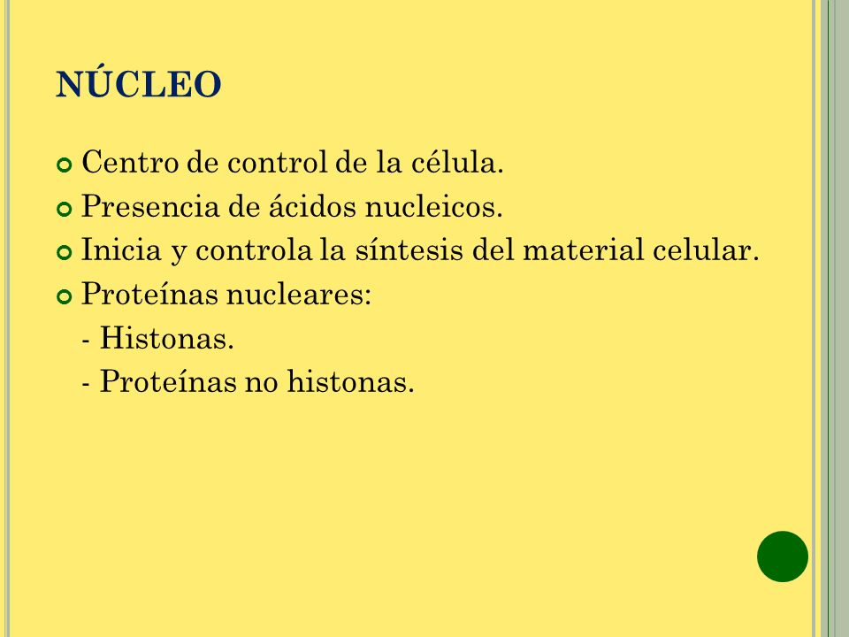 NÚCLEO Centro de control de la célula. Presencia de ácidos nucleicos.