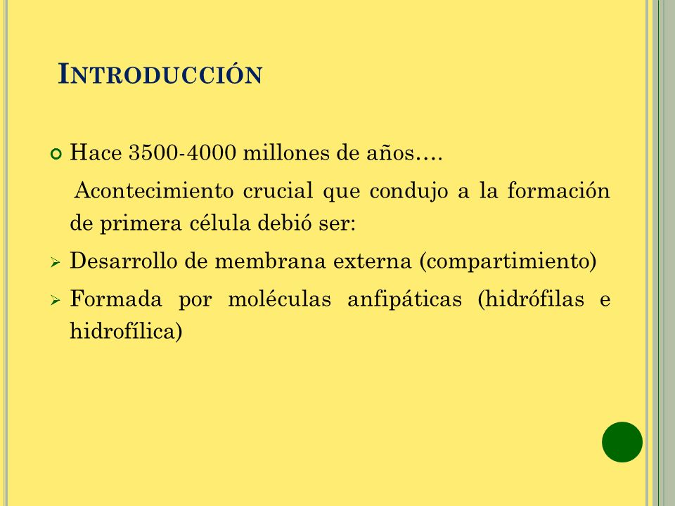 Introducción Hace millones de años….