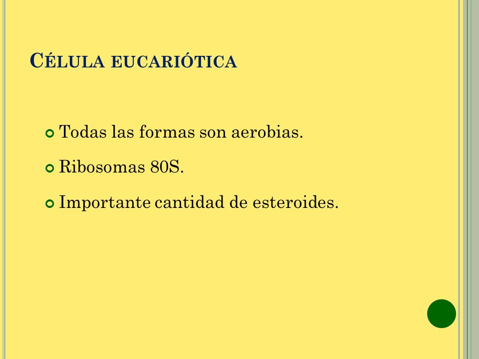 Célula eucariótica Todas las formas son aerobias. Ribosomas 80S.