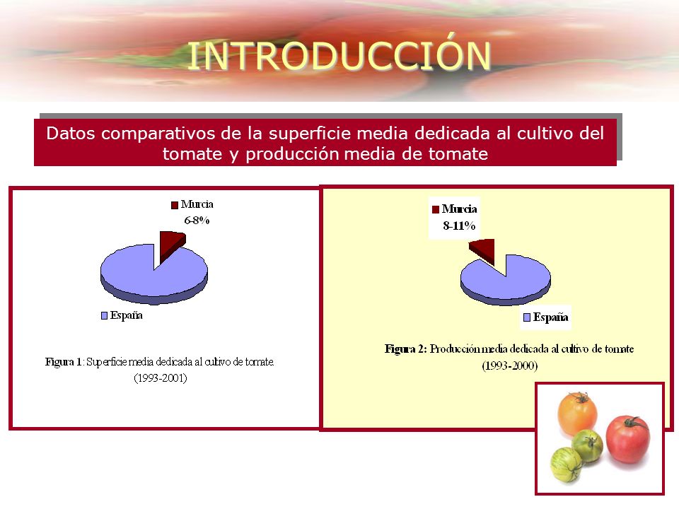INTRODUCCIÓN Datos comparativos de la superficie media dedicada al cultivo del tomate y producción media de tomate.