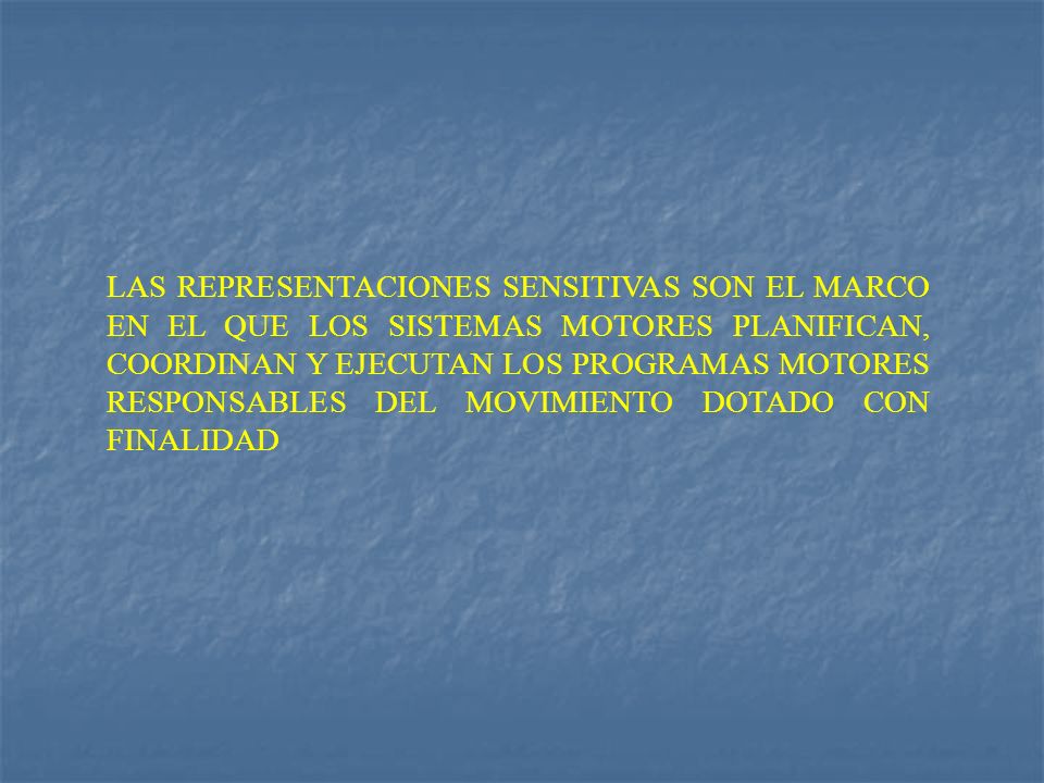 LAS REPRESENTACIONES SENSITIVAS SON EL MARCO EN EL QUE LOS SISTEMAS MOTORES PLANIFICAN, COORDINAN Y EJECUTAN LOS PROGRAMAS MOTORES RESPONSABLES DEL MOVIMIENTO DOTADO CON FINALIDAD