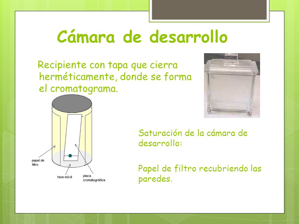 Cámara de desarrollo Recipiente con tapa que cierra herméticamente, donde se forma el cromatograma.