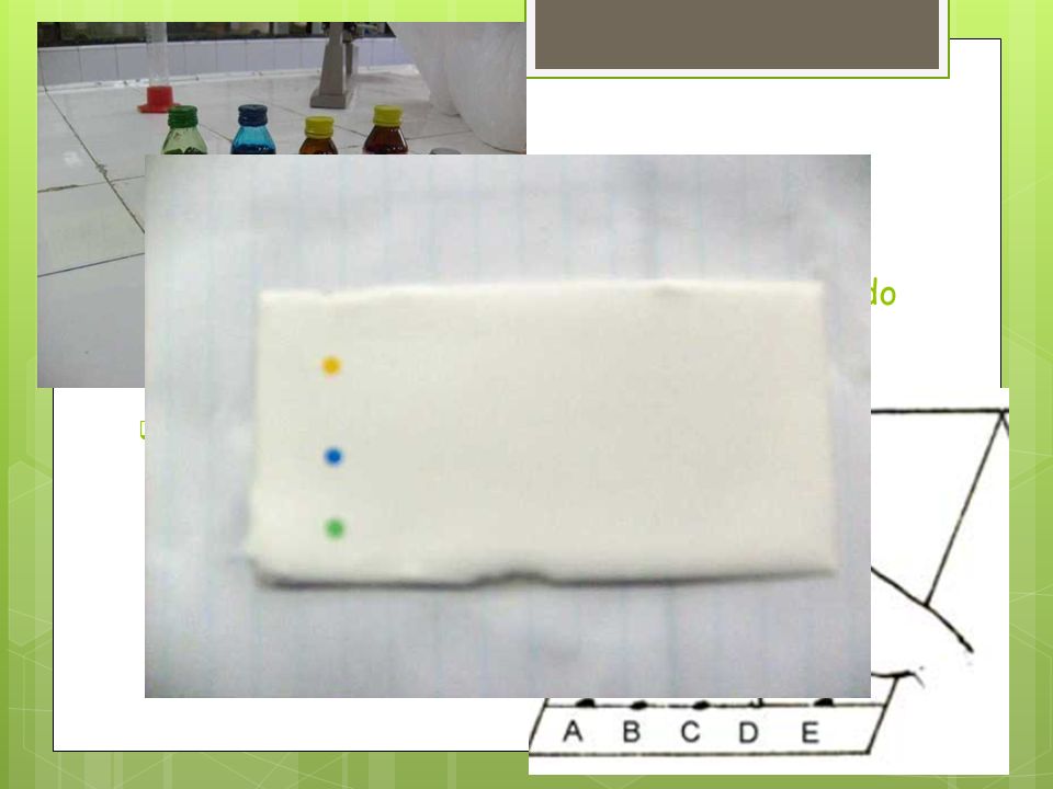 SIEMBRA Trazar una línea de siembra con lápiz, a 1,5 cm del borde.