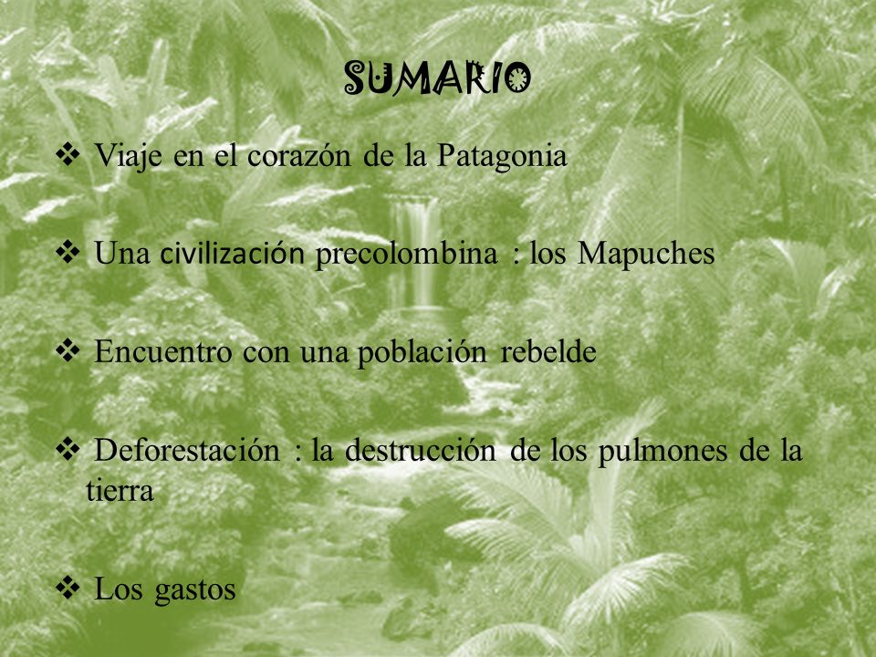 SUMARIO Viaje en el corazón de la Patagonia