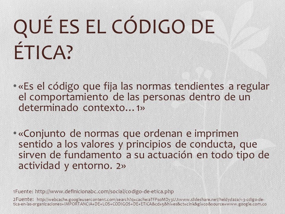 QUÉ ES EL CÓDIGO DE ÉTICA