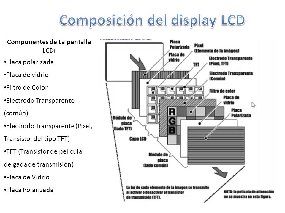 Composición del display LCD Componentes de La pantalla LCD: