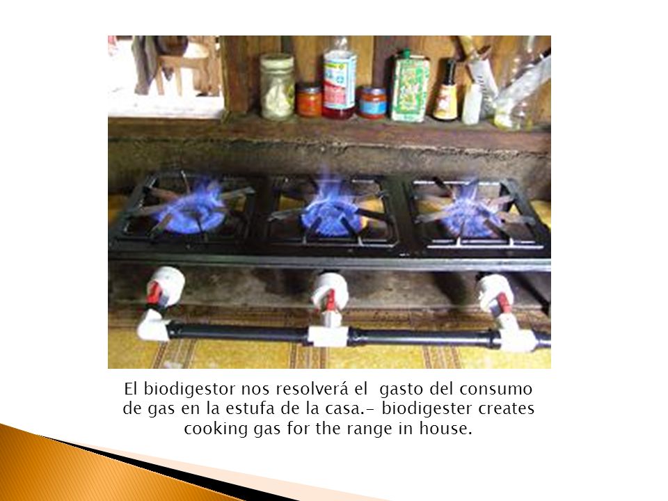 El biodigestor nos resolverá el gasto del consumo de gas en la estufa de la casa.- biodigester creates cooking gas for the range in house.